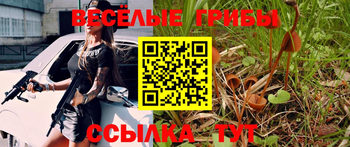 Псилоцибиновые грибы Cubensis  Вход с VPN  Волгодонск  Псилоцибиновые грибы мухоморы 