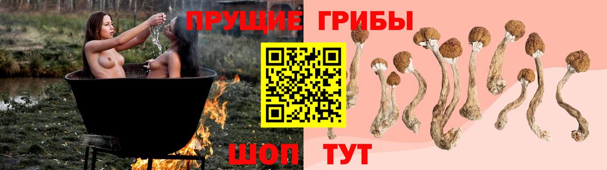 Галлюциногенные грибы прущие грибы Волгодонск